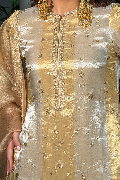 Silver-Gold Striped Embroidered Tissue Kurta Set