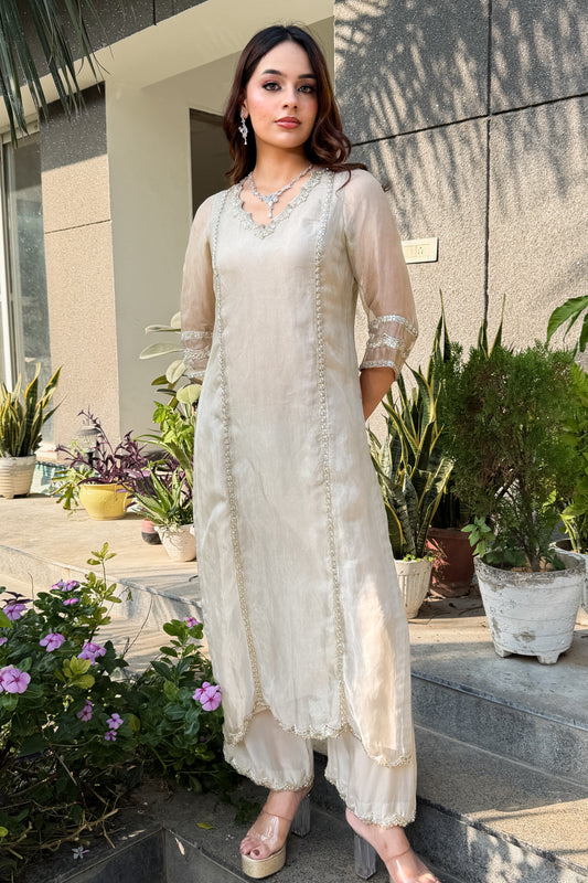 Silver Tissue Tunic and Pants Set